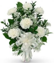 6 White Carnations Vase 6 White Carnations Vase
