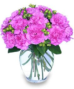 12 Pink and Purple Carnations Vase product1112