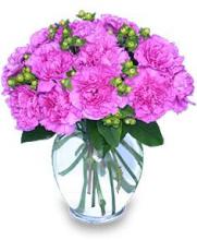 12 Pink and Purple Carnations Vase 12 Pink and Purple Carnations Vase