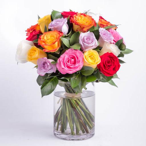 Rainbow Bunch product263