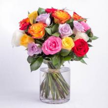 Rainbow Bunch Rainbow Bunch